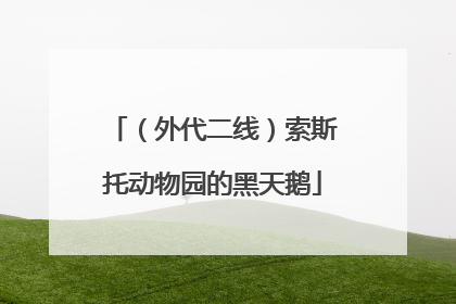 （外代二线）索斯托动物园的黑天鹅
